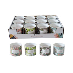 ΚΕΡΙ TERRA CITR. ΜΕΤΑΛ. ΔΟΧΕΙΟ 140GR