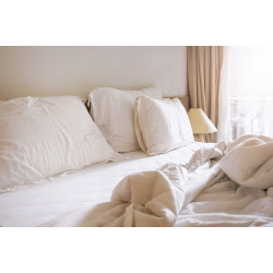 ΣΕΝΤΟΝΙ ΔΙΠΛΟ 240Χ285 THEMIS PLAIN 50% ΜΕΡΣΕΡΙΖΕ ΚΕΝΤΙΑ