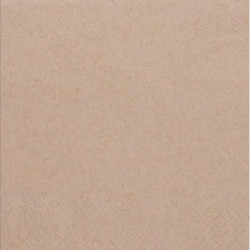 ΧΑΡΤΟΠΕΤΣΕΤΑ ECO-GREEN 33Χ33 Χ85ΤΕΜ. (ΕΚΠ. -15% 18ΑΔΑ)