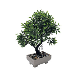 ΓΛΑΣΤΡΑΚΙ ΜΕ ΦΥΤΟ Νο 25